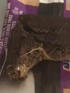 Snickers Almond Brownie Review inside