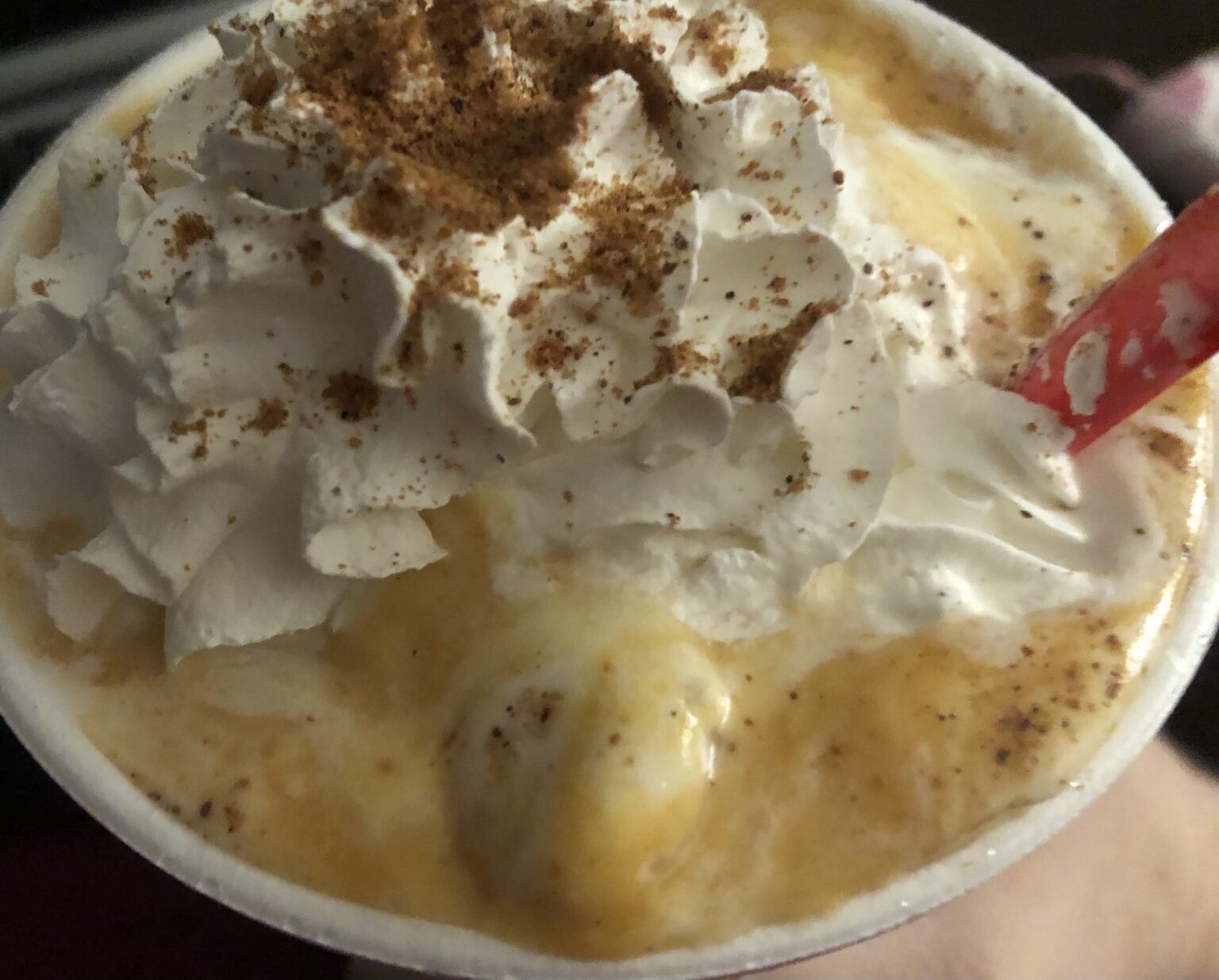 dairy-queen-pumpkin-pie-blizzard-review-food-rankers